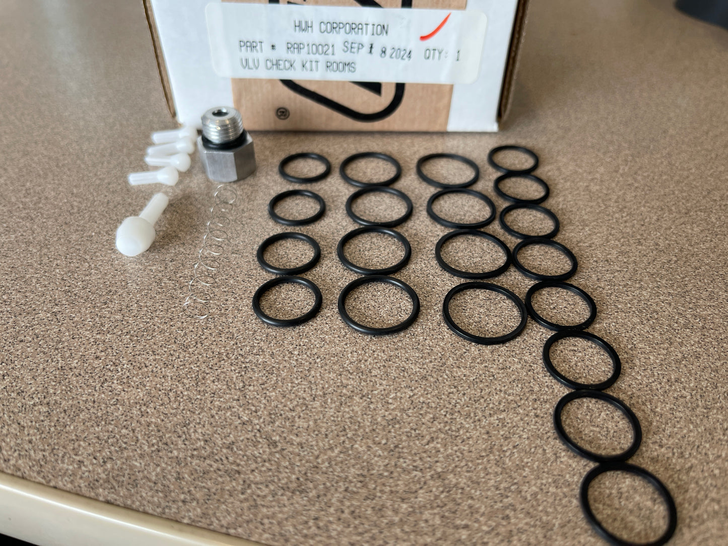 RAP10021 - Check Valve Kit - Slide Room