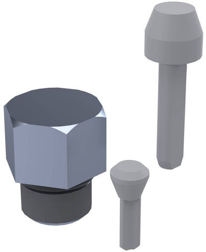 RAP7944 - Check Valve Kit (1)